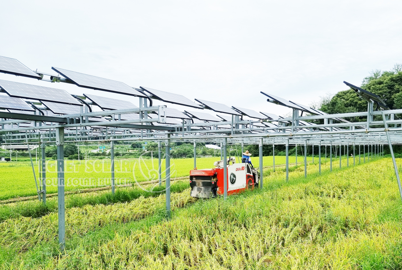 Montarea din aluminiu pentru agricultură solară conduce la dezvoltarea durabilă a agriculturii