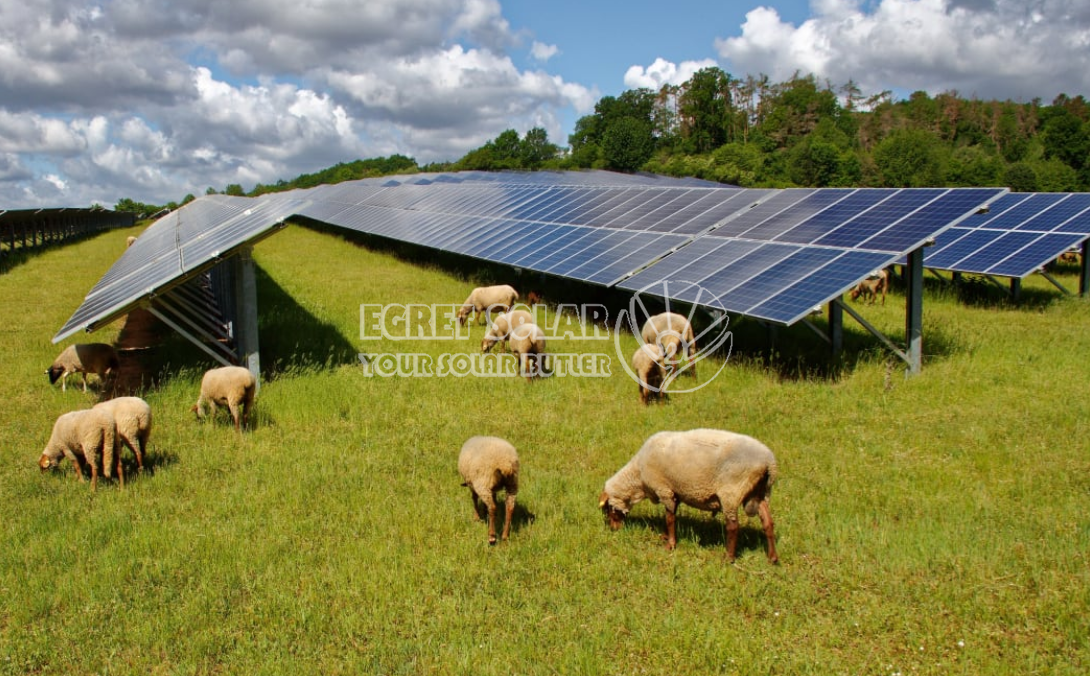 Cooperarea strategică între tehnologia Egret Solar New Energy și Smart Concept Energy