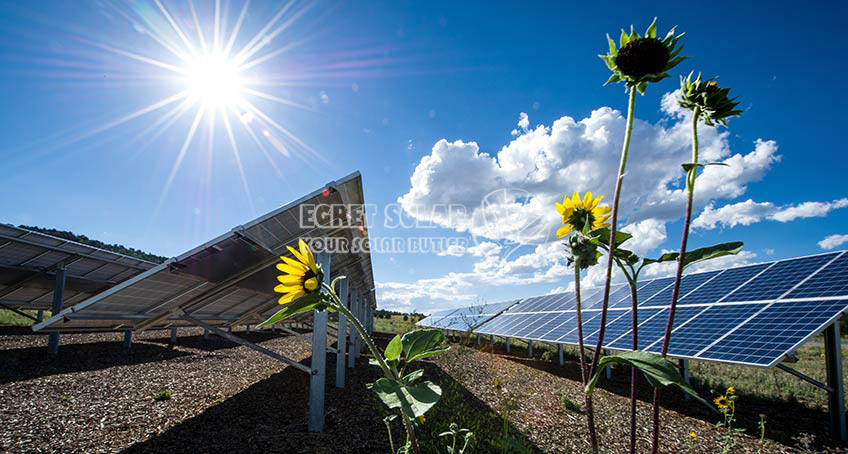 Clasificarea cuprinzătoare a celulelor solare fotovoltaice