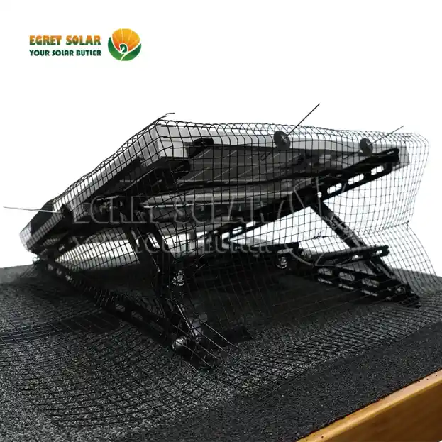 De ce plasele solare pentru păsări sunt linia cheie de apărare?